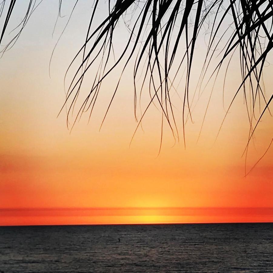 #212 Surf Song Resort St. Pete Beach Zewnętrze zdjęcie